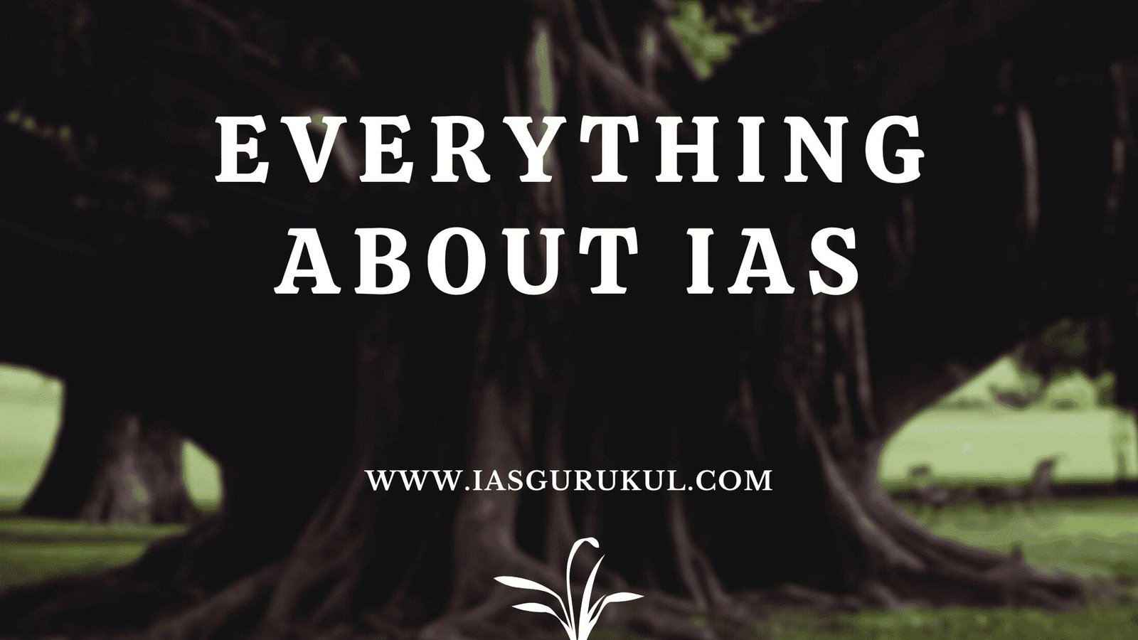 Everything About IAS